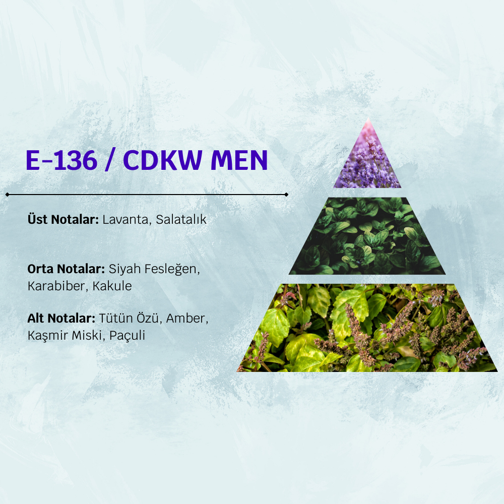 David Walker CDKW MEN E136 100ML Erkek Parfüm