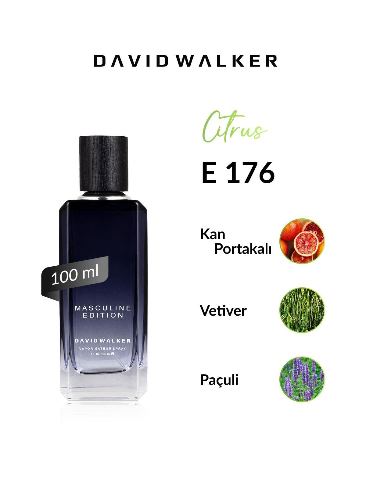 david-walker-e176-kingdom-100-