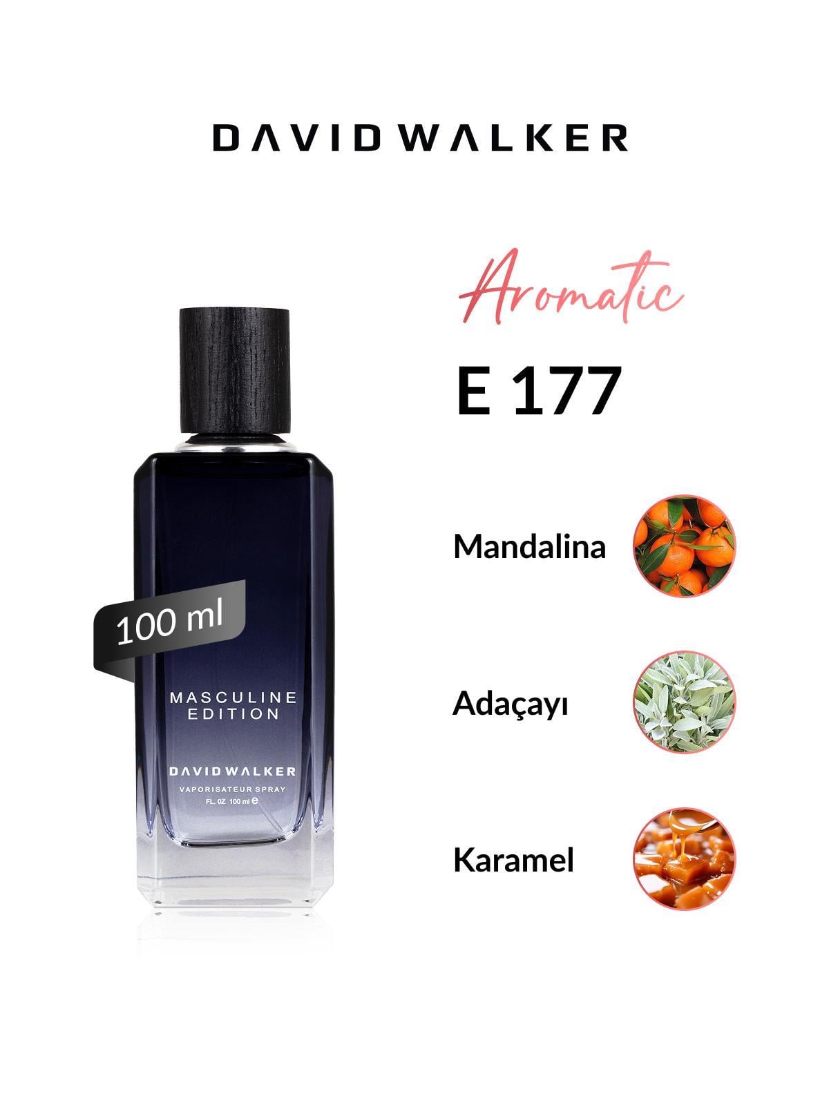 David Walker E177 Tentative 100 ml Erkek Parfüm | Aromatic