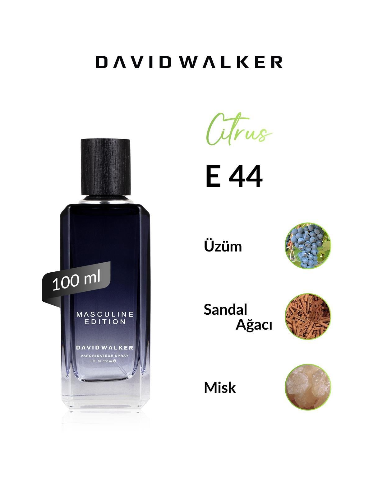 David Walker DRAGSTER E44 100ML Erkek Parfüm
