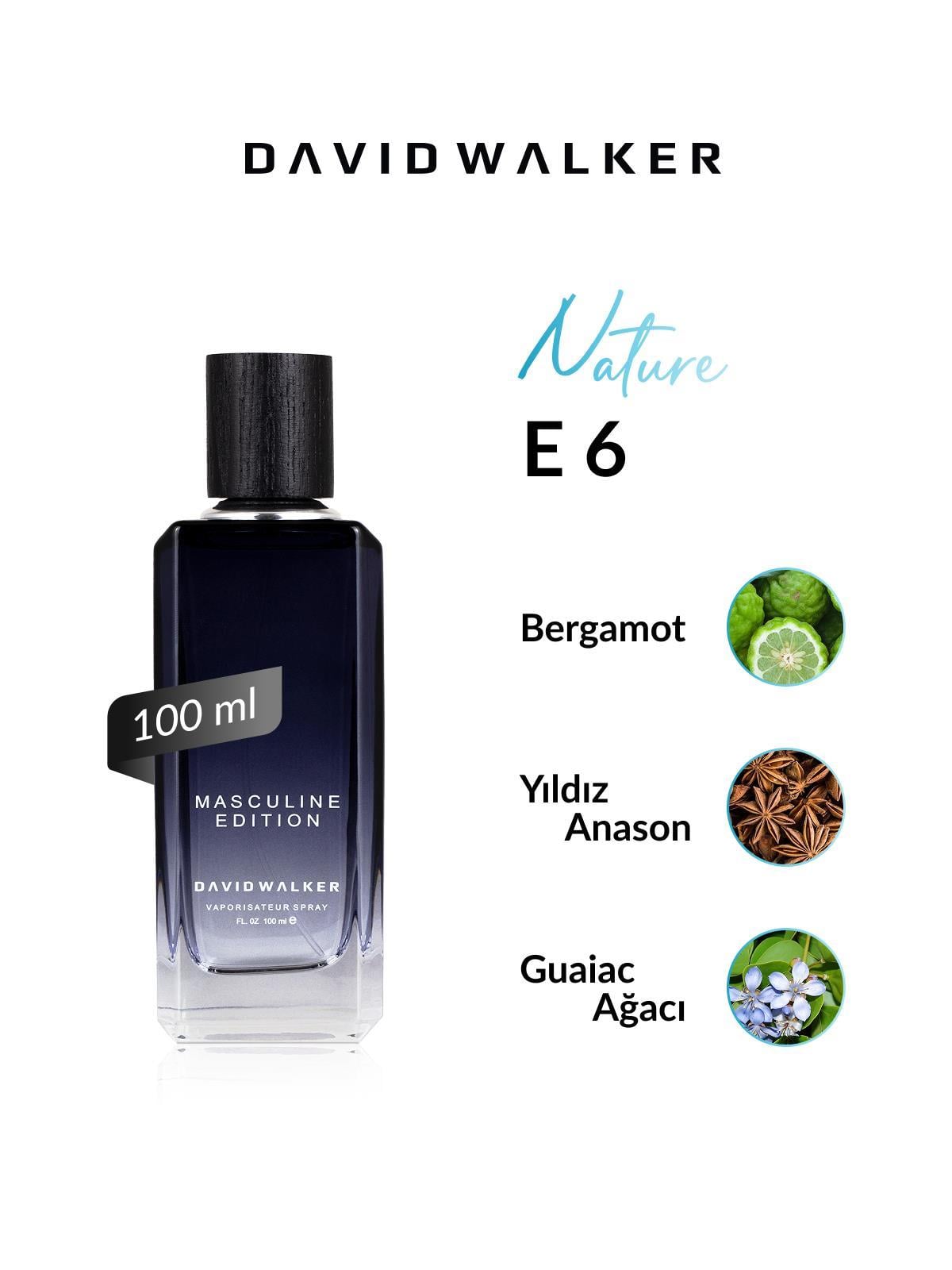 David Walker SMITH E6  100ML Erkek Parfüm