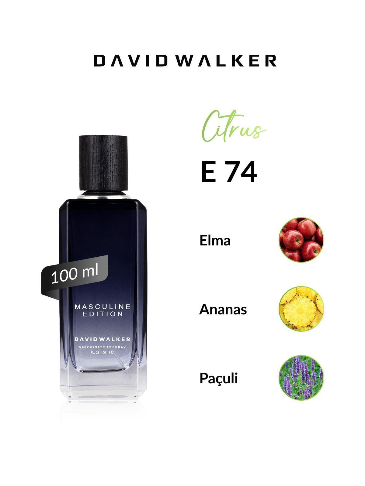 David Walker E74 Parcorus 100 ml Erkek Parfüm | Citrus