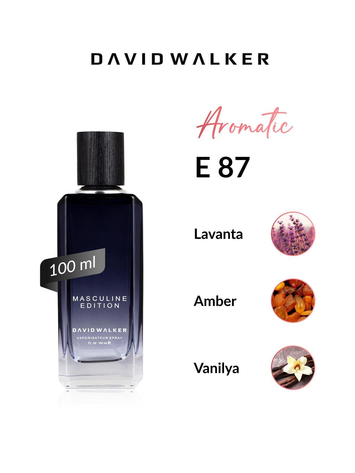 David Walker E87 Diegor 100 ml Erkek Parfüm | Aromatic