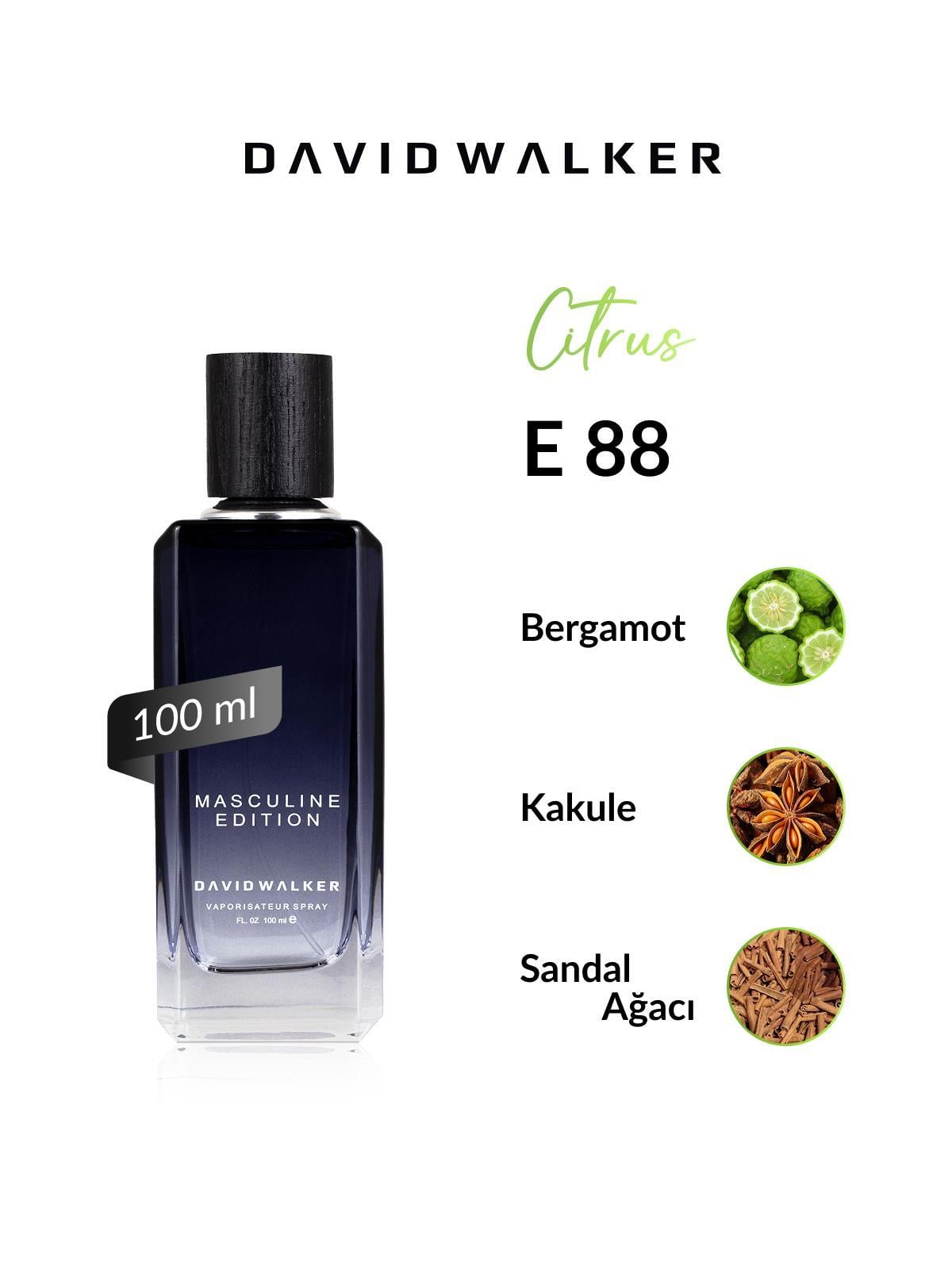 David Walker E88 Walles 100 ml Erkek Parfüm | Citrus