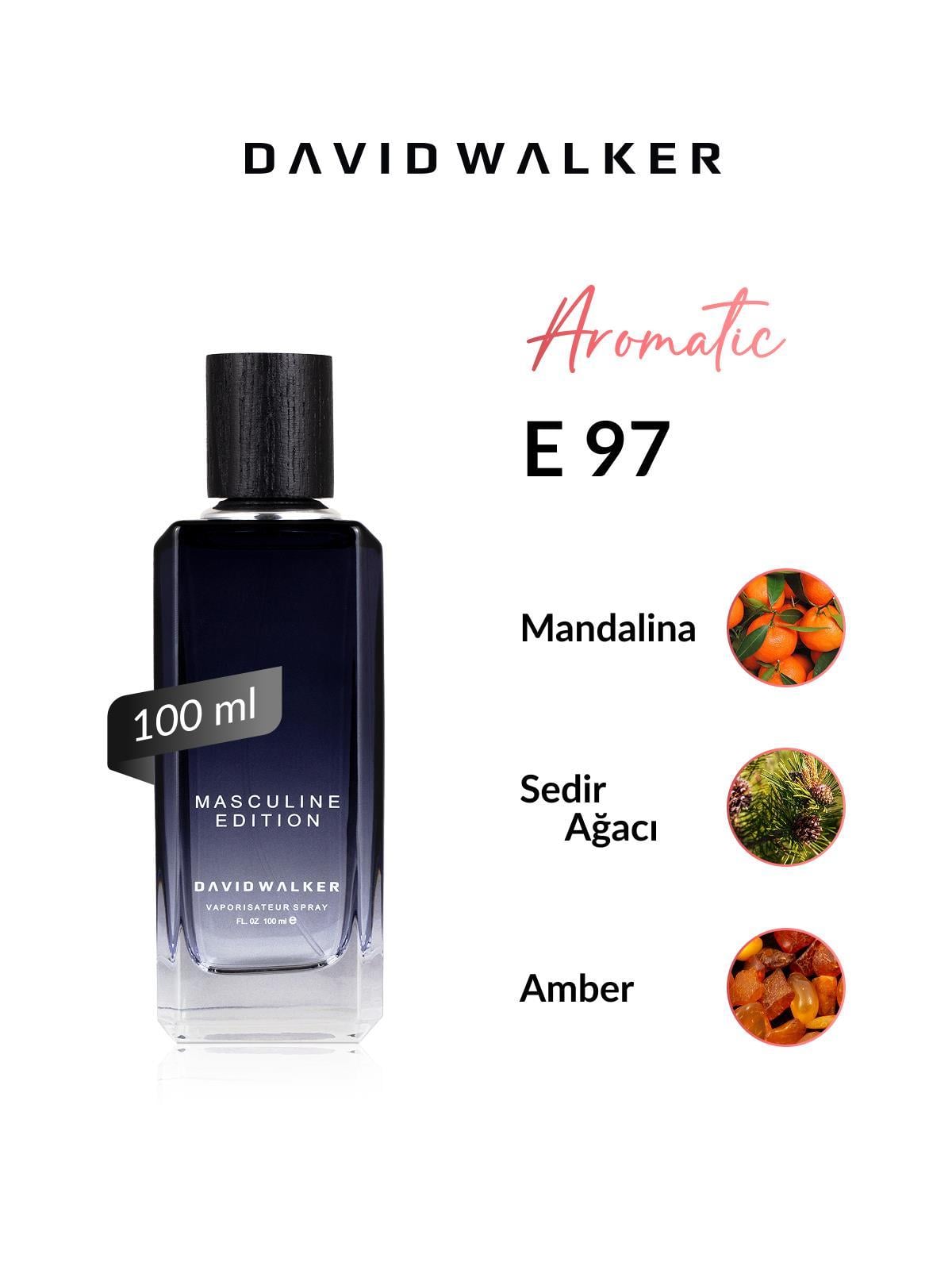 David Walker E97 Bavari 100 ml Erkek Parfüm | Aromatic
