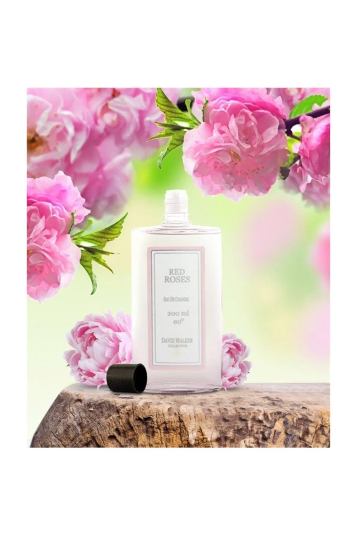 David Walker Gül Kolonyası 200ml