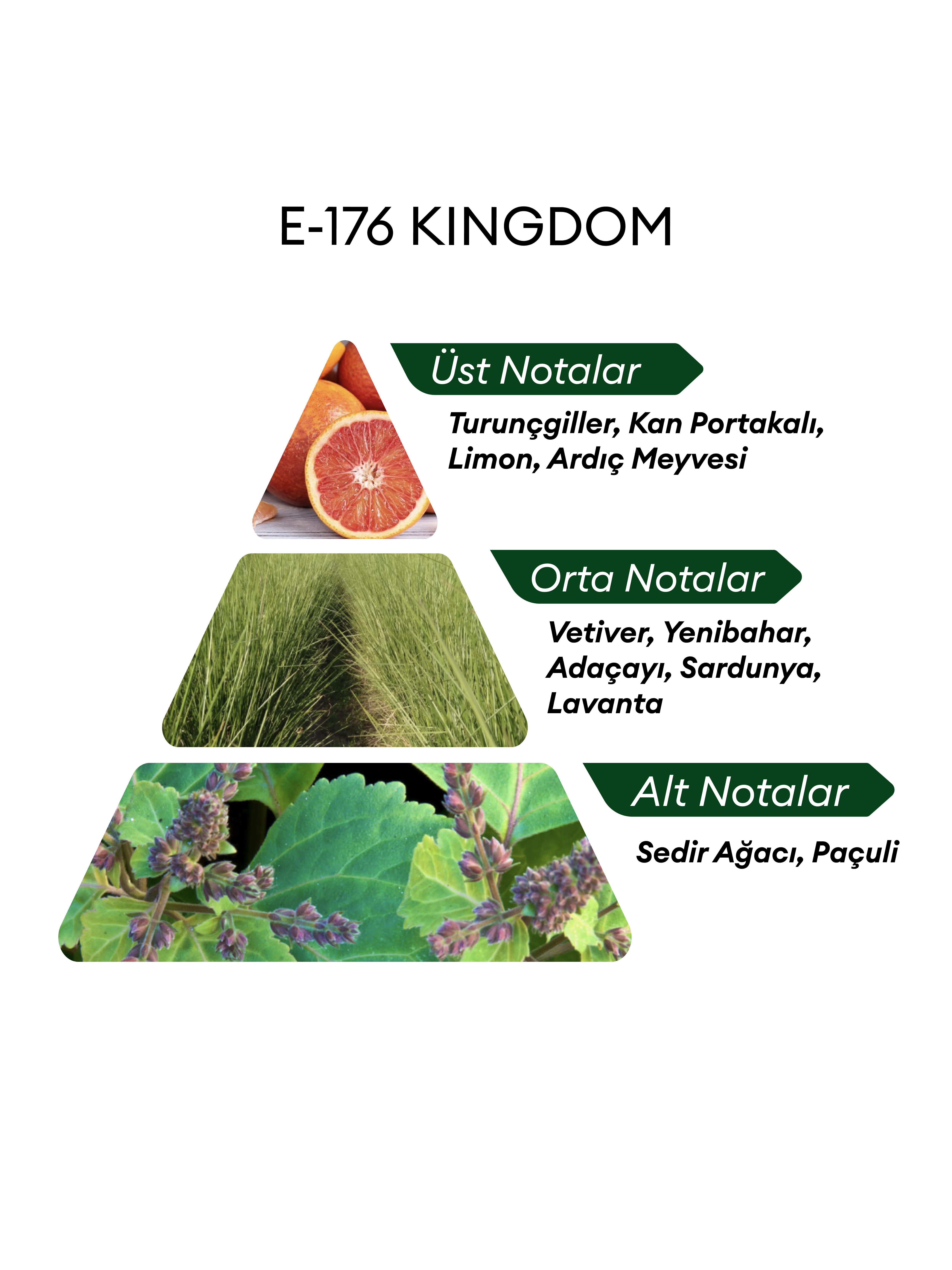 David Walker KİNGDOM E176 50 ml Erkek Parfüm