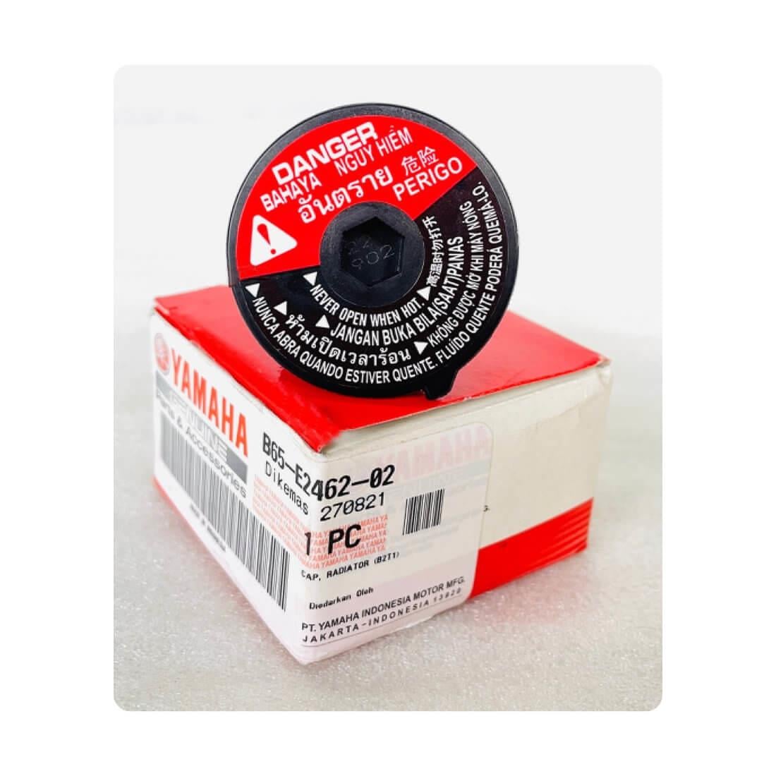YAMAHA NMAX 125 155 2015-24 / XMAX 250-300 2018-25 RADYATÖR KAPAĞI