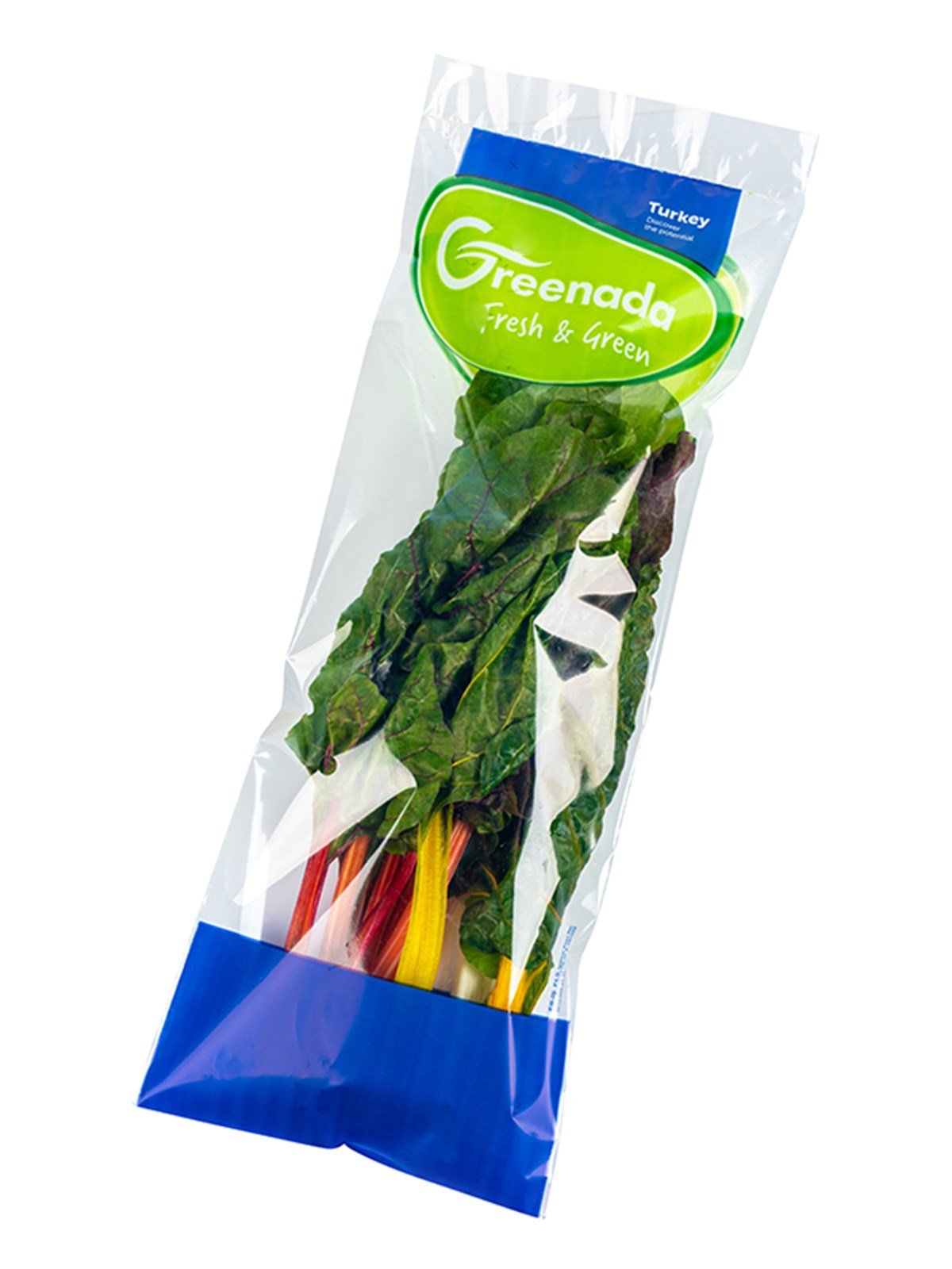 Renkli Pazı Yaprağı Bağ