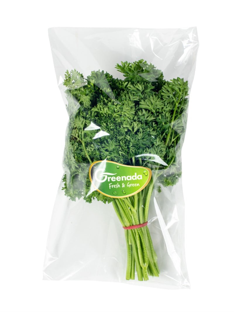 Bağ Frenk Maydanozu (Kıvırcık Maydanoz)