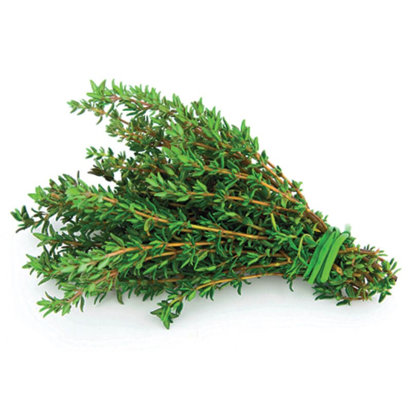 Thyme (Bundle)