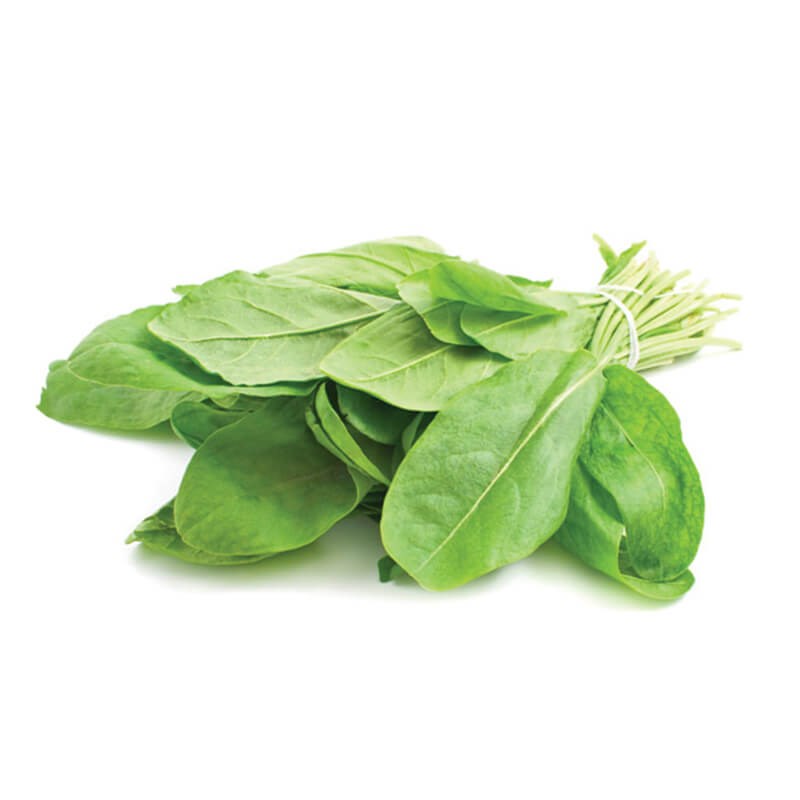 Bağ Yeşil Kuzu Kulağı