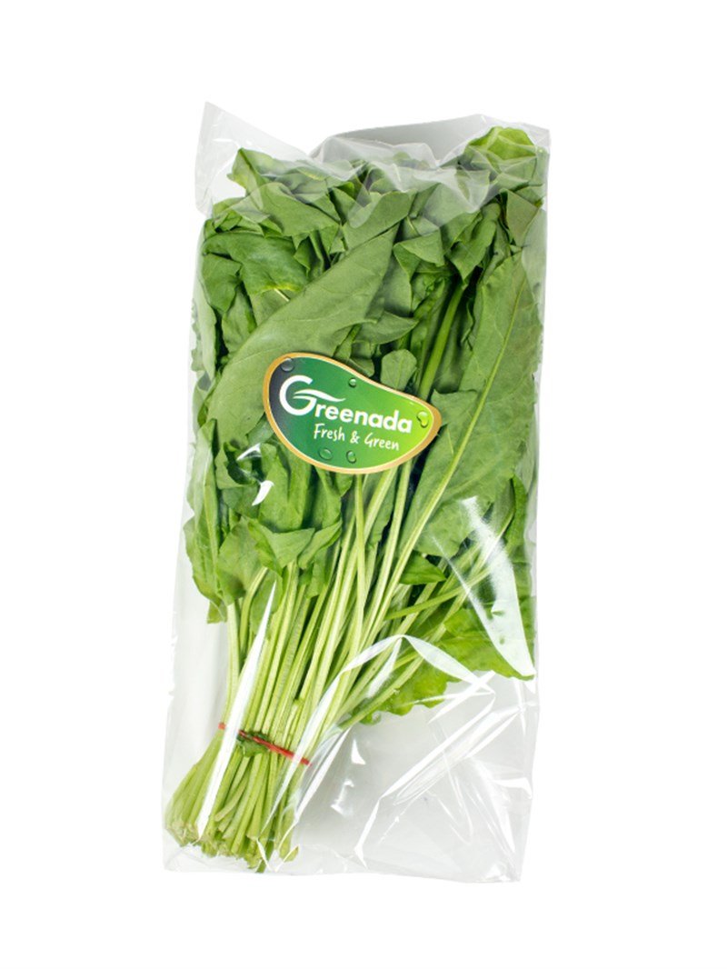 Bağ Yeşil Kuzu Kulağı