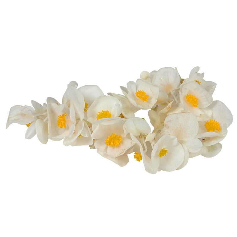 GreenadaErik Çiçeği Beyaz Paket