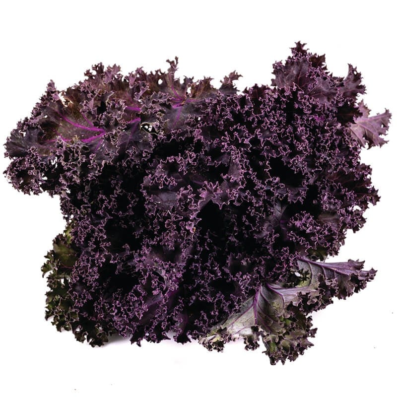 GreenadaKale Yaprağı Kırmızı (Kale Leaves Red)