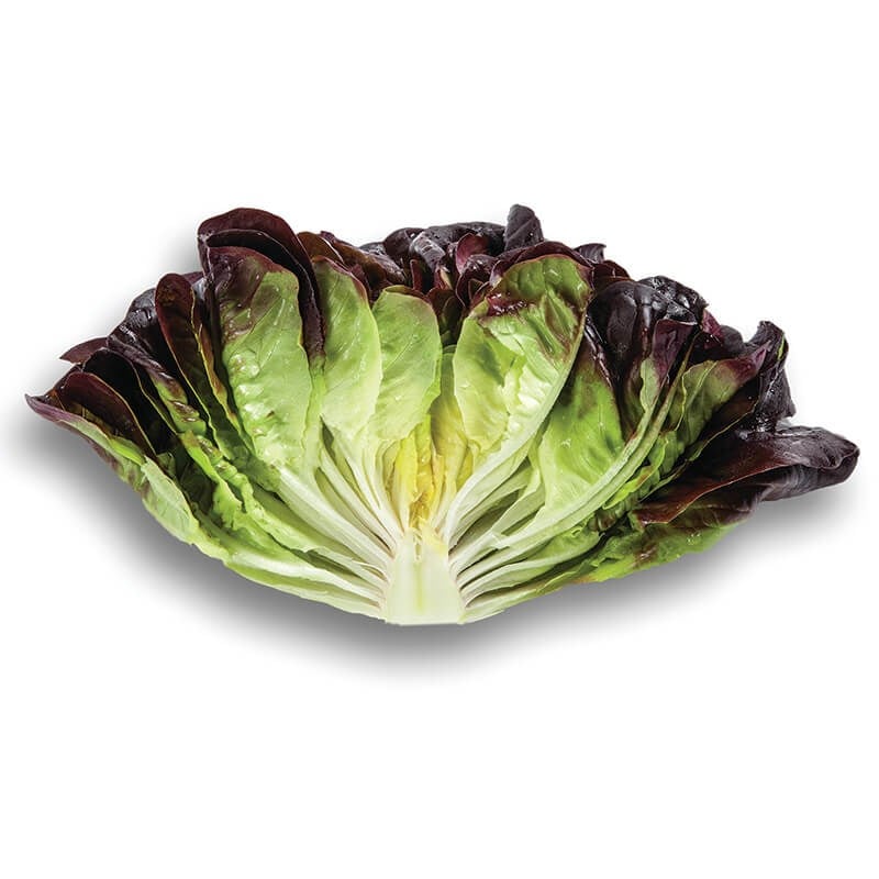 Kırmızı Gül Marul