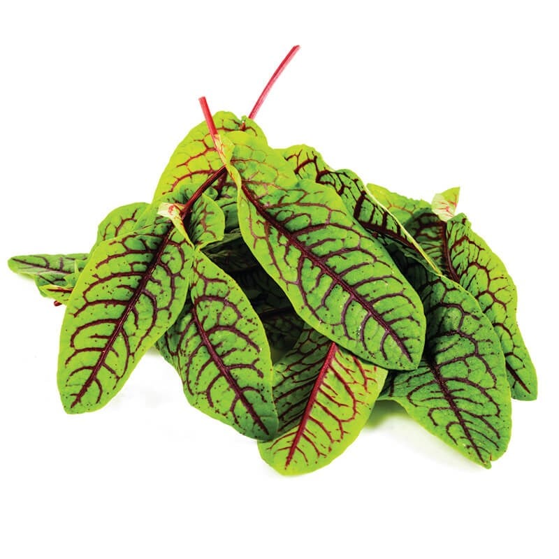 GreenadaKırmızı Kuzu Kulağı (Red Sorre)