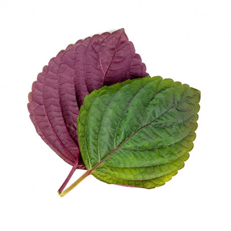 GreenadaPerilla Yaprağı (30 Yaprak)