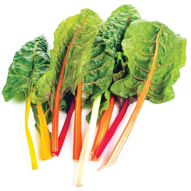 Renkli Pazı Yaprağı Bağ