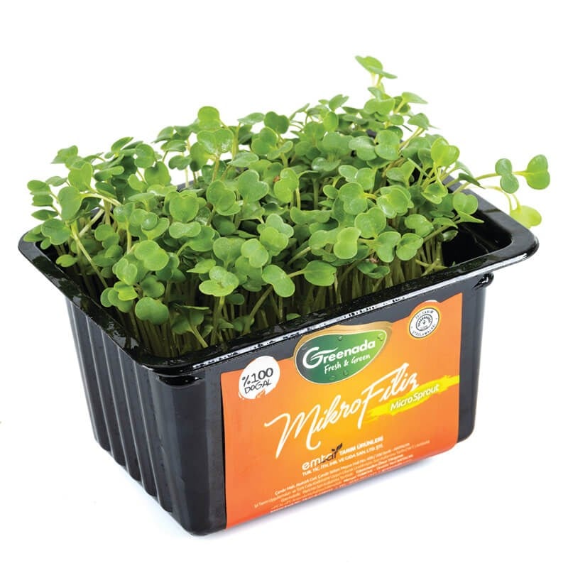 GreenadaRoka Mikro Filiz (Arugula)