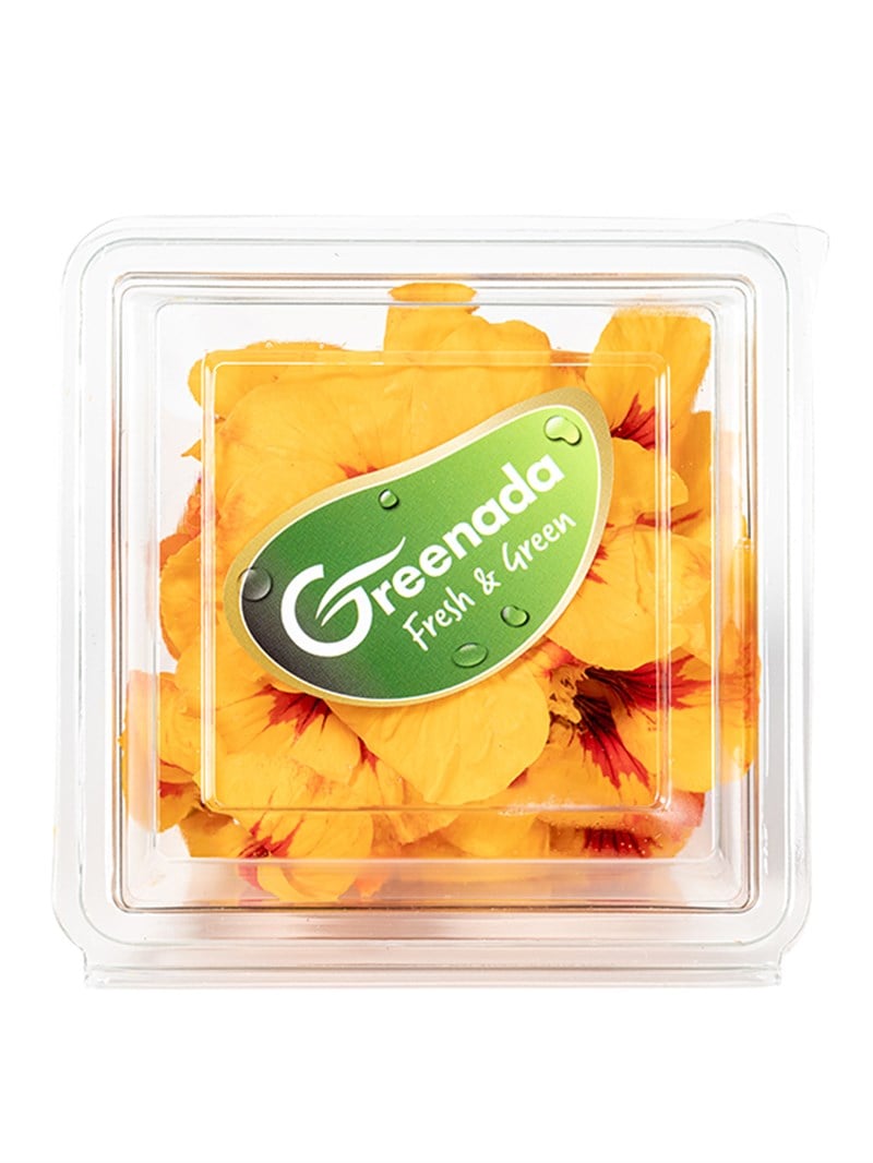 Sarı Latin Çiçeği Paket