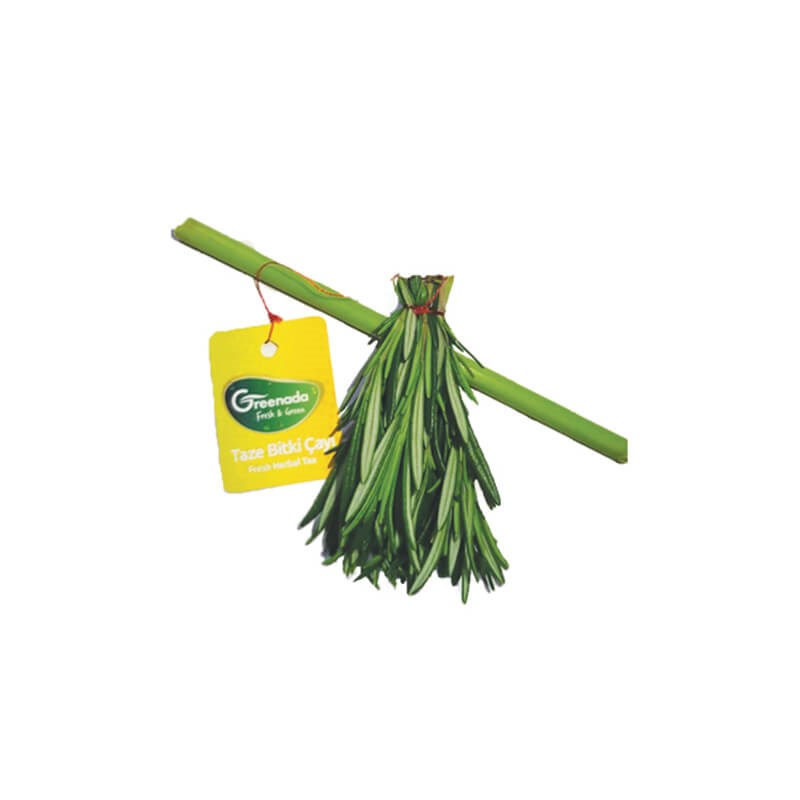 GreenadaTaze Biberiye Çayı (Fresh Rosemary Tea)