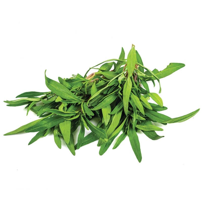 Zahter Kekik 25 g