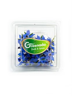 Hodan Çiçeği Paket