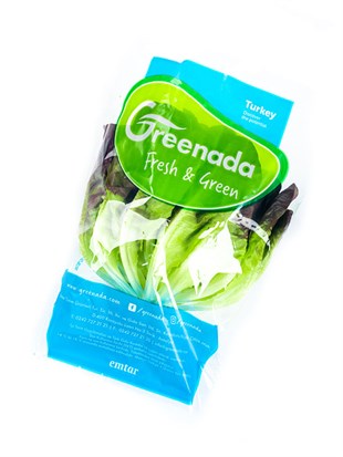 Kırmızı Gül Marul