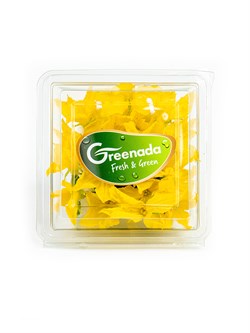 Salatalık Çiçeği Paket