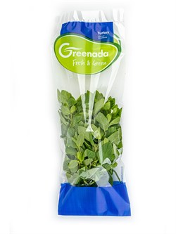 Taze Nane 25 g