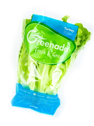 Yeşil Palamut (Bol Salat)