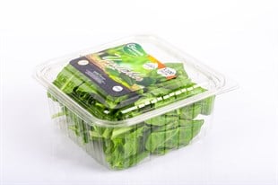 Yeşil Pancar Yaprağı 150 g