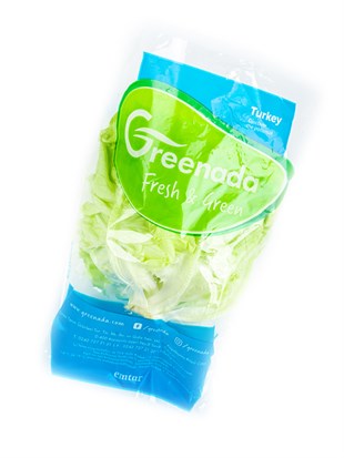 Yeşil Yağlı Marul 