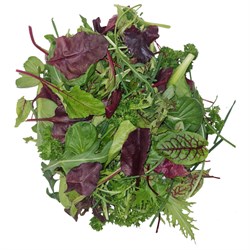 Balık Salatası 150 g