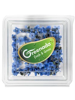 Beni Unutma Çiçeği Paket