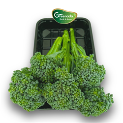 Brokolini 200 gr paket