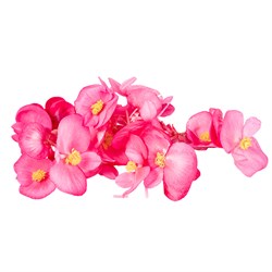 GreenadaErik Çiçeği Pembe Paket