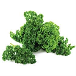 Frenk Maydanozu 25 g