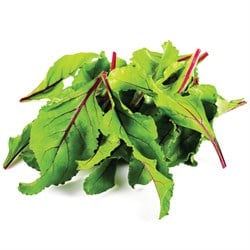 Kırmızı Damarlı Pancar Yaprağı 150 g