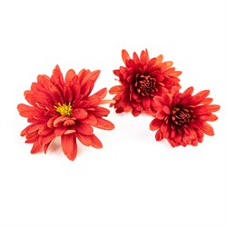 Kırmızı Krizantem Çiçeği Paket