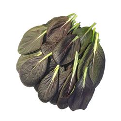 GreenadaKırmızı Tatsoi 150 g