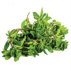 Mercan Köşkü 25 g