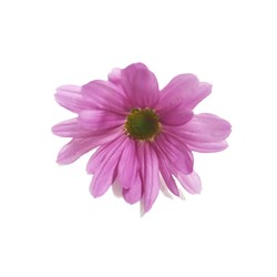 GreenadaPembe Kasımpatı Paket