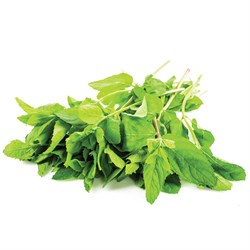Taze Nane 25 g