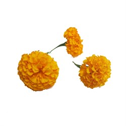 GreenadaTuruncu Kadife Paket