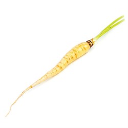 GreenadaYabani Beyaz Havuç (White Carrot)