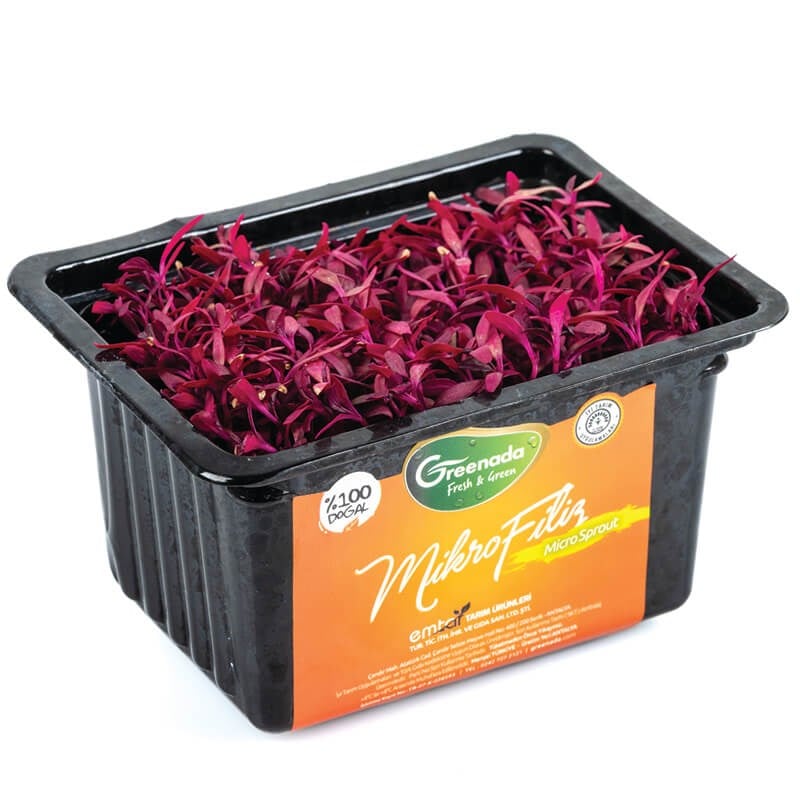 Amarant Micro Sprouts
