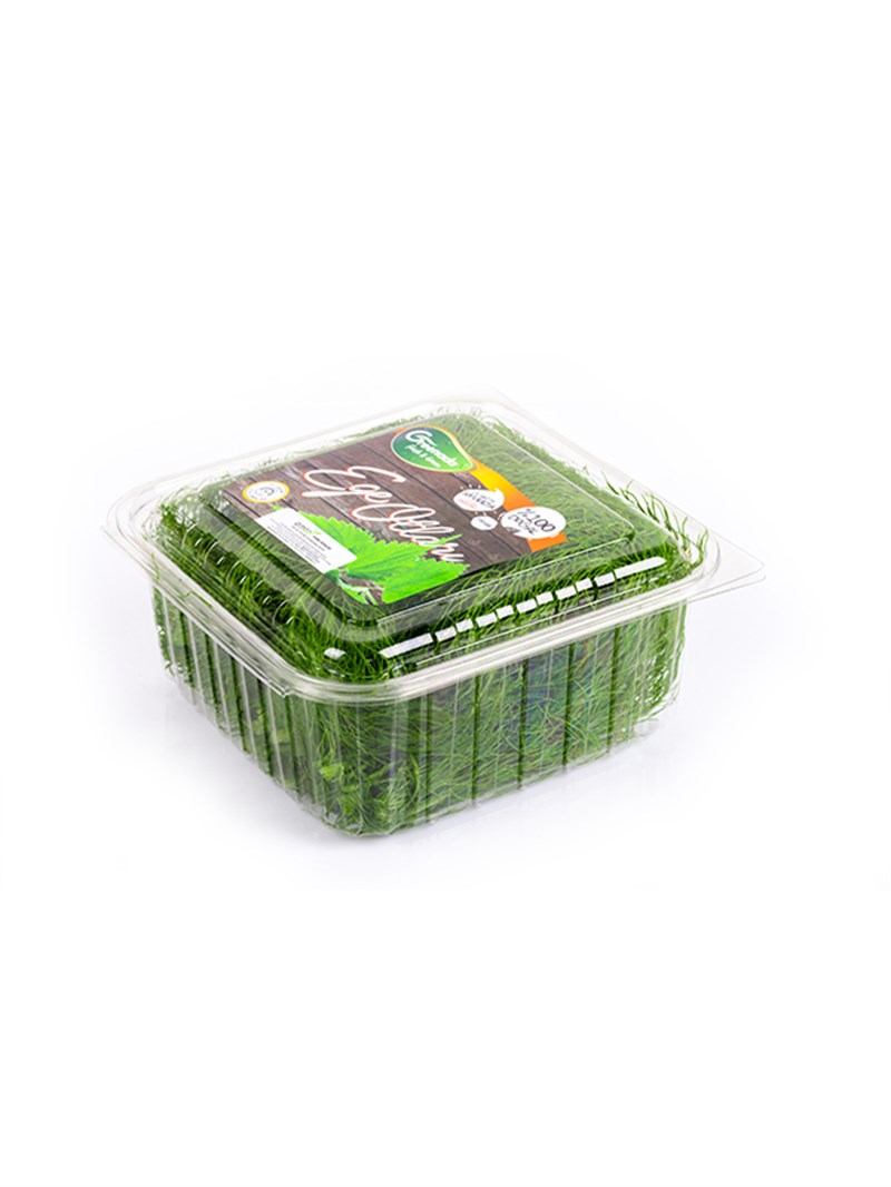 Tangle Plant 150 g