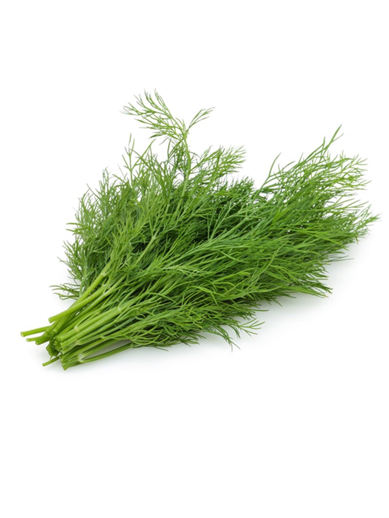 GreenadaBağ Dereotu
